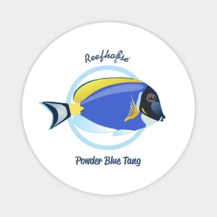 Powder Blue Tang Magnet